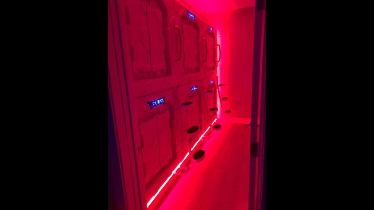 ホテル La Podlife ロサンゼルス エクステリア 写真